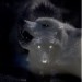 Wolf_girl13